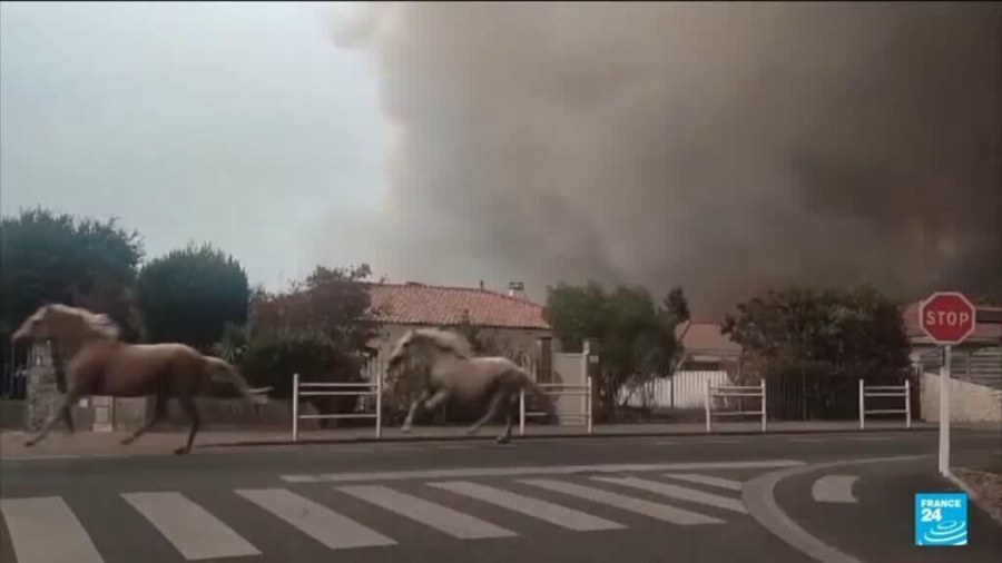 حرائق الغابات تجبر على إجلاء واسع النطاق في جنوب غرب فرنسا
