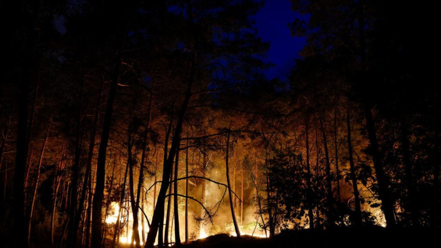 Wildfire Engulfs Fontainebleau Forest Amid Heatwave
