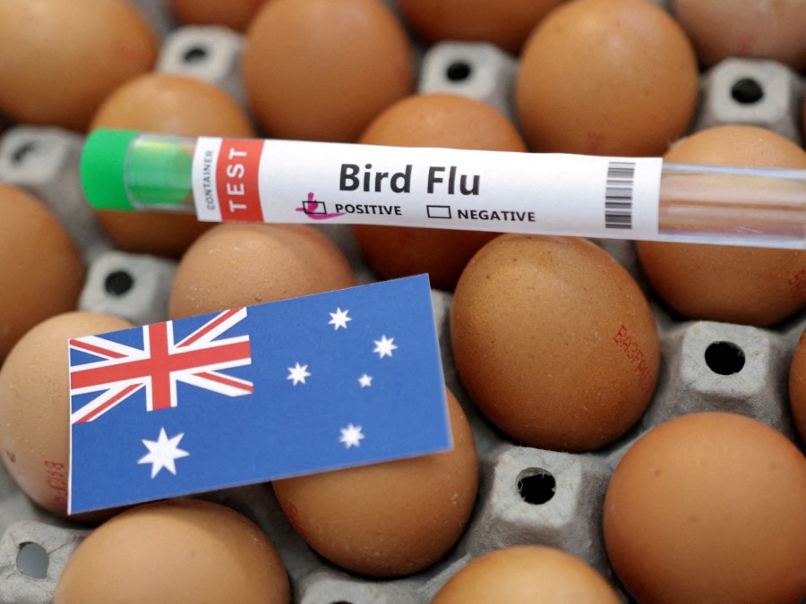 Australia Prepares for Widespread H5N1 Bird Flu Transmission